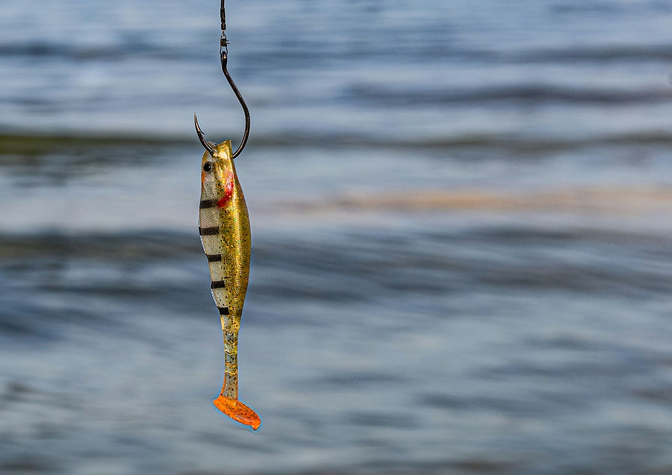 Phishing, ID, mises à jour : nos conseils pour améliorer votre cyber