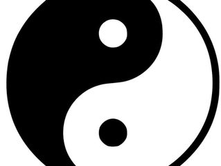 Why 'Integrated' Acupuncture??