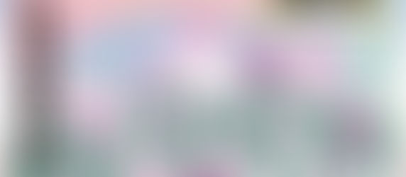 パートナーアーティストの水川千春がアートプロジェクト「隅田川 森羅万象 墨に夢」(通称:すみゆめ)に参加します