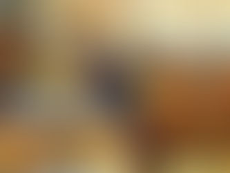 ¿Por qué mi hábitat está dejando de existir?