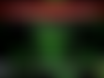 Les polices allemande et suisse saisissent les serveurs de Cryptomixer à Zurich