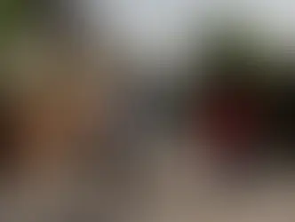 Haïti : le bilan de l'attaque de gang à Pont-Sondé monte à 115 morts
