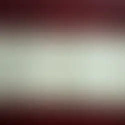 Un manuscrit inédit de Mozart découvert à la Bibliothèque nationale de France