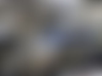 Aux États-Unis, un agent de l’immigration a tué une femme lors d’une opération.