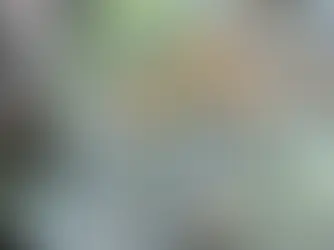 EUR/USD : L’euro au plus bas depuis 2022 face au dollar sous 1,03$