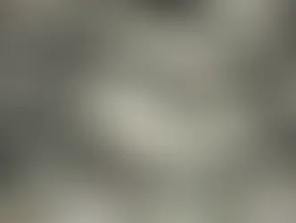 29 monnaies africaines ont perdu de la valeur en raison de la guerre en Iran