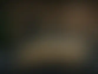 Elon Musk dévoile le robotaxi de Tesla et envisage un début de production avant 2027