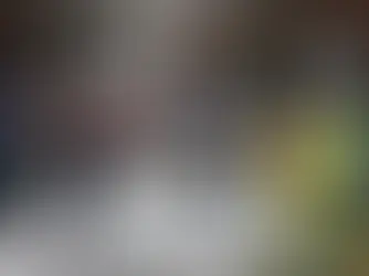 Munich, une voiture fonce dans la foule : au moins une vingtaine de blessés