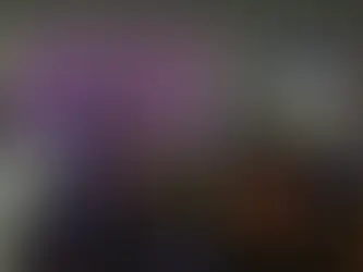 Sur fond de crispations autour du Mercosur, les agriculteurs mobilisés en France