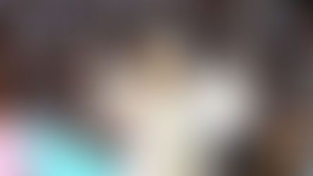 La dissolution de la secte Moon a été confirmée en appel au Japon.