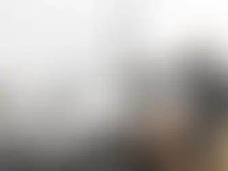 Autolib’ : les communes franciliennes devront verser 66 millions d’euros au groupe Bolloré