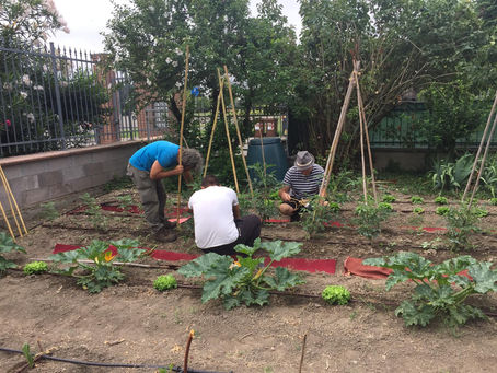 UN ORTO IN PARROCCHIA 2 Castel Maggiore