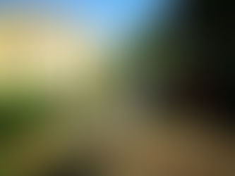 UN ORTO IN PARROCCHIA