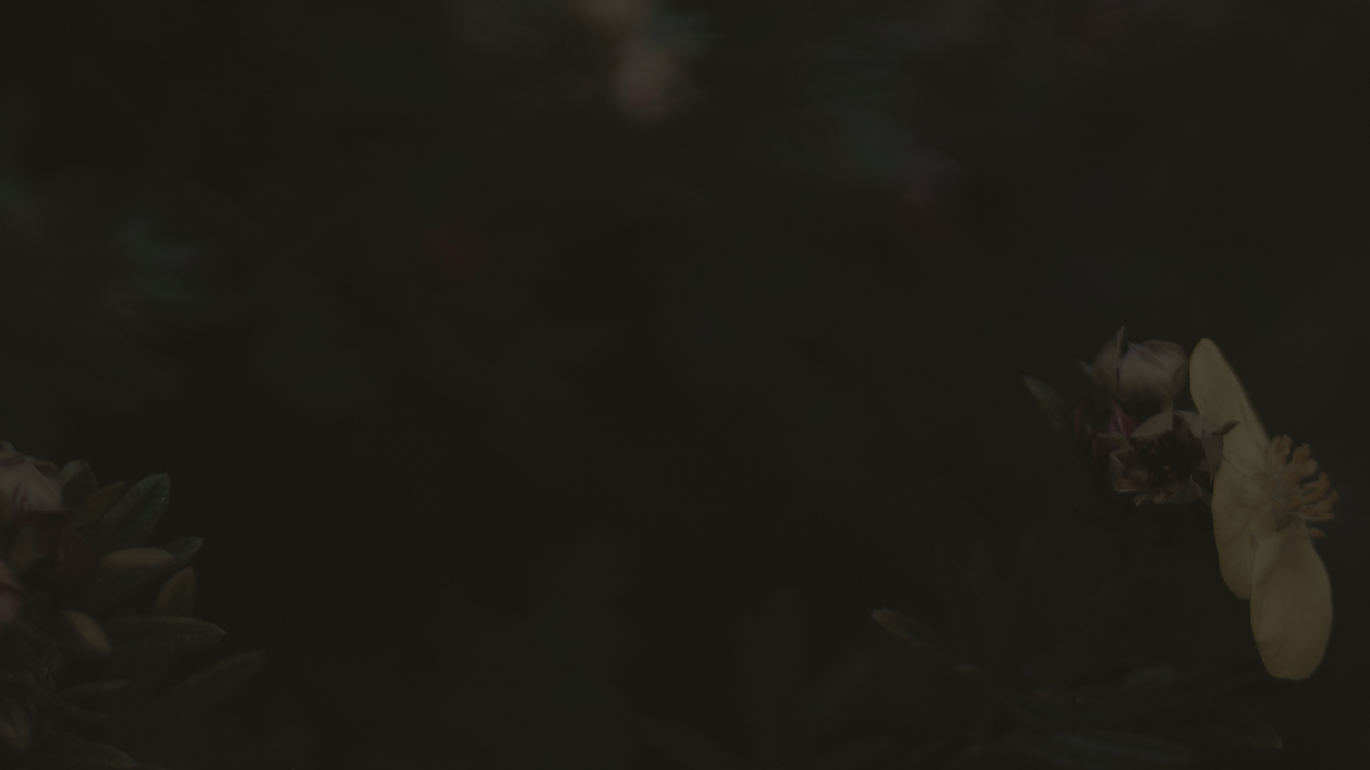 WildTwin_Background_3.png
