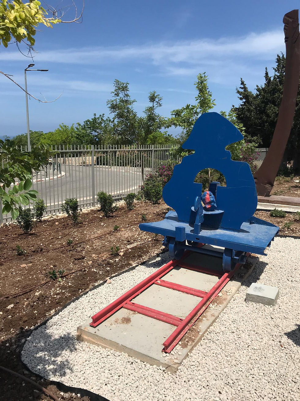 נפוליאון על קרונית
