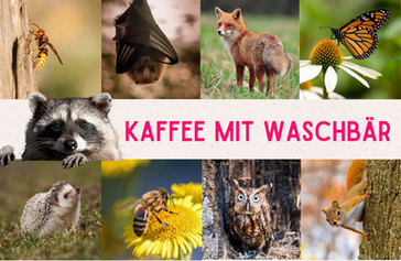 Kaffee mit Waschbär | Unterstützen Sie unser Crowdfunding!