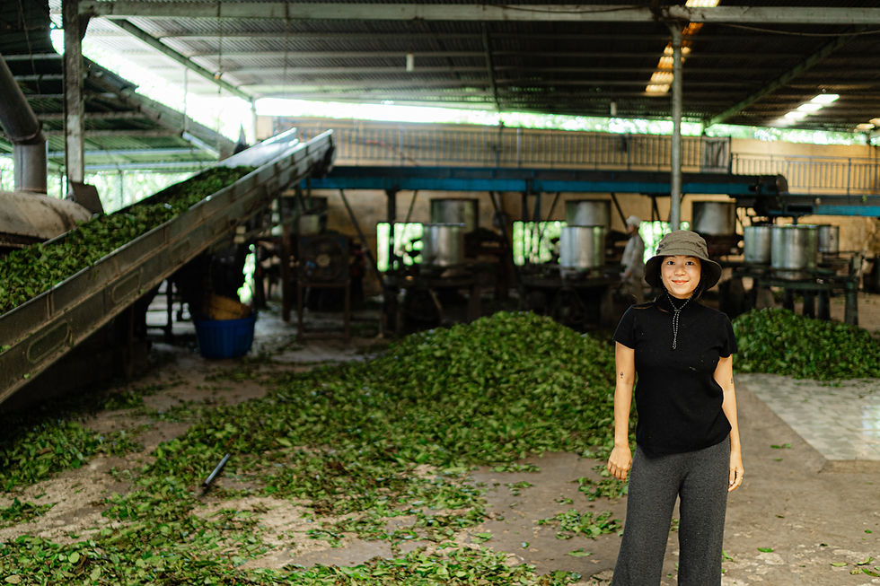 Our Founder Thao at the Tea Factory