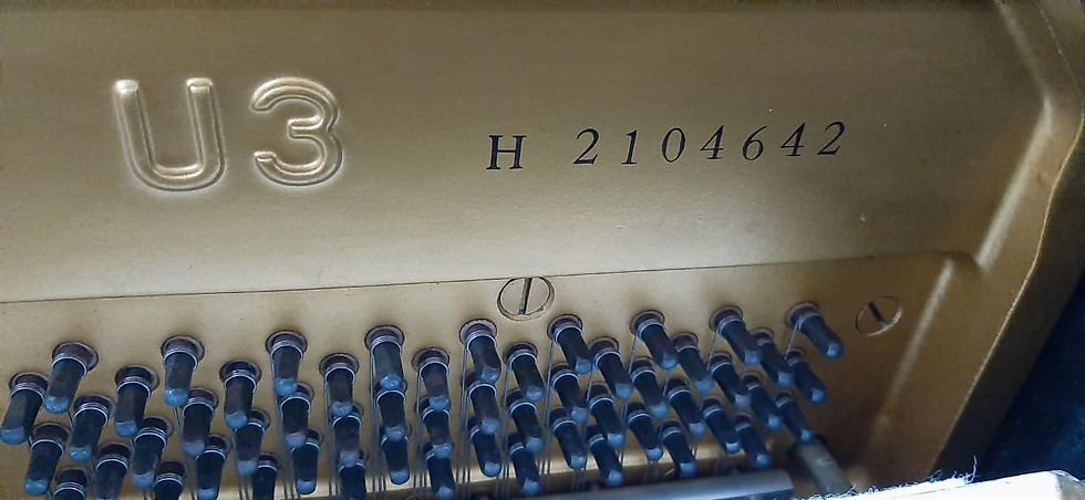 Thumbnail: Yamaha U3