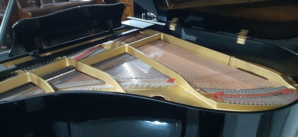 Thumbnail: Yamaha G2