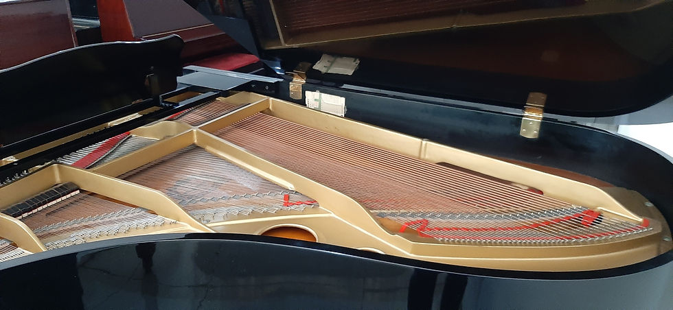 Thumbnail: Yamaha G5