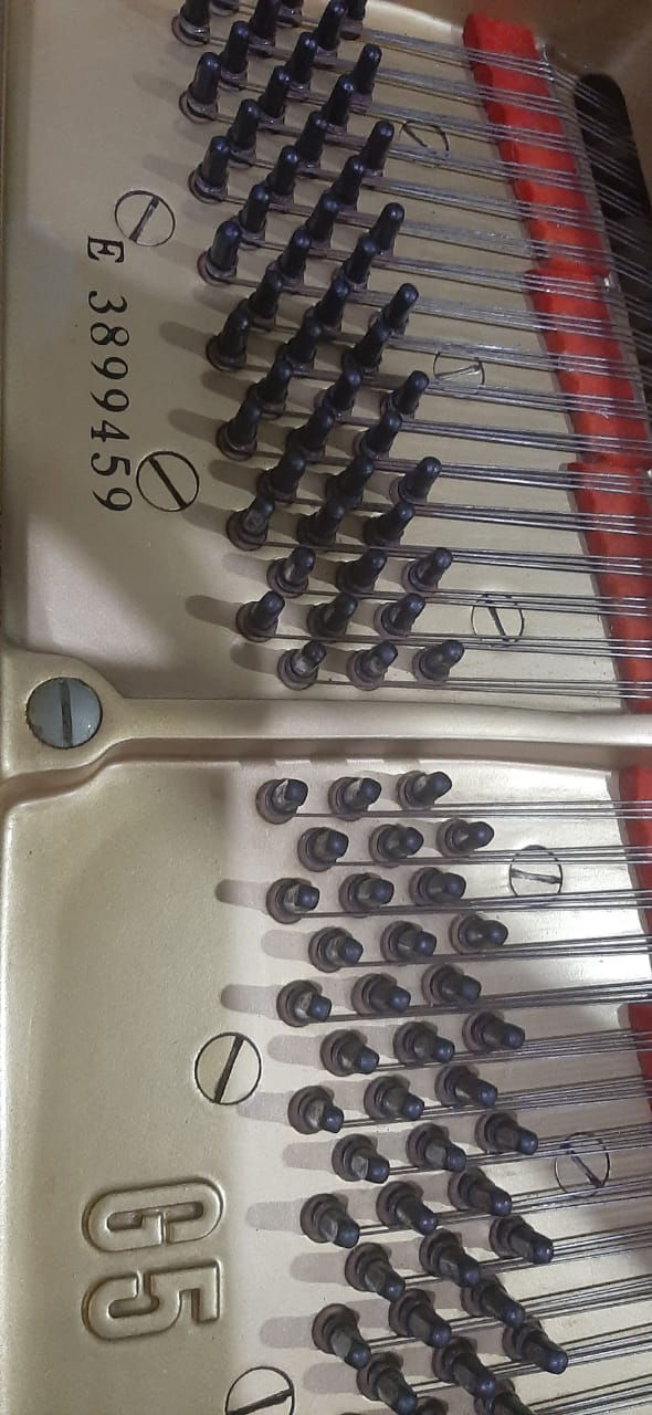 Thumbnail: Yamaha Grand G5 (Panjang 200cm)