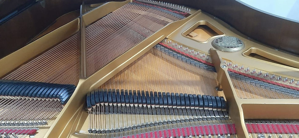 Thumbnail: Baby Grand Petrof Model V