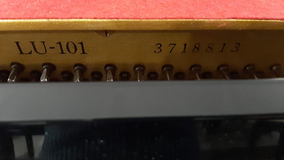 Thumbnail: Yamaha LU101 Japan