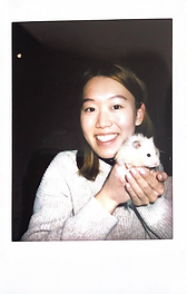 Screen Shot 2023-11-30 at 11.39.43 AM.png