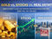Gold vs. Stocks vs. Real Estate — Which Asset Class Has Served Nigerian Investors Best Over the Last Decade?