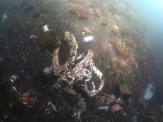 LINE_ALBUM_静浦 水中写真_240604_38_0.jpg