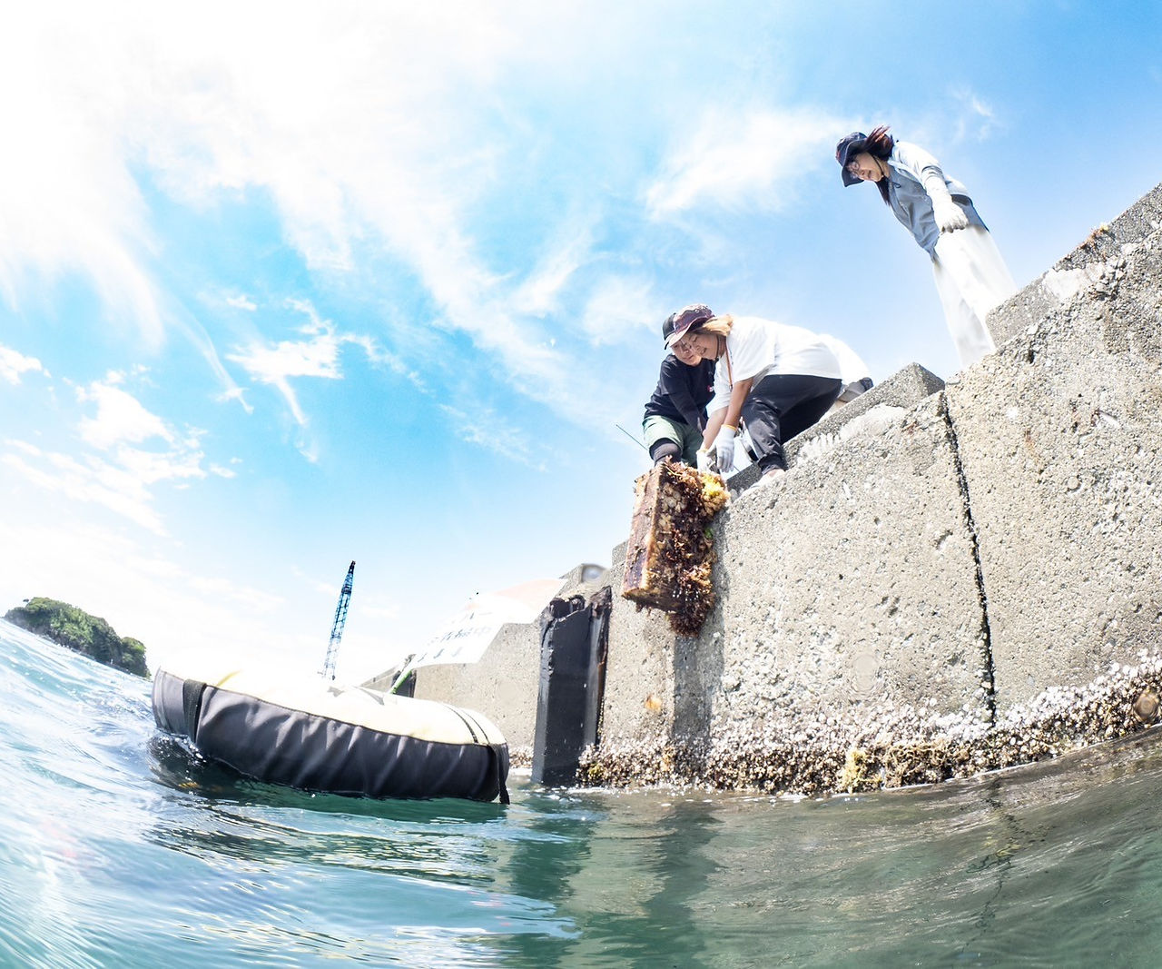LINE_ALBUM_静浦 水中写真_240604_2.jpg