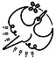 珈ノ鳥、コーヒー、珈琲、伊東市