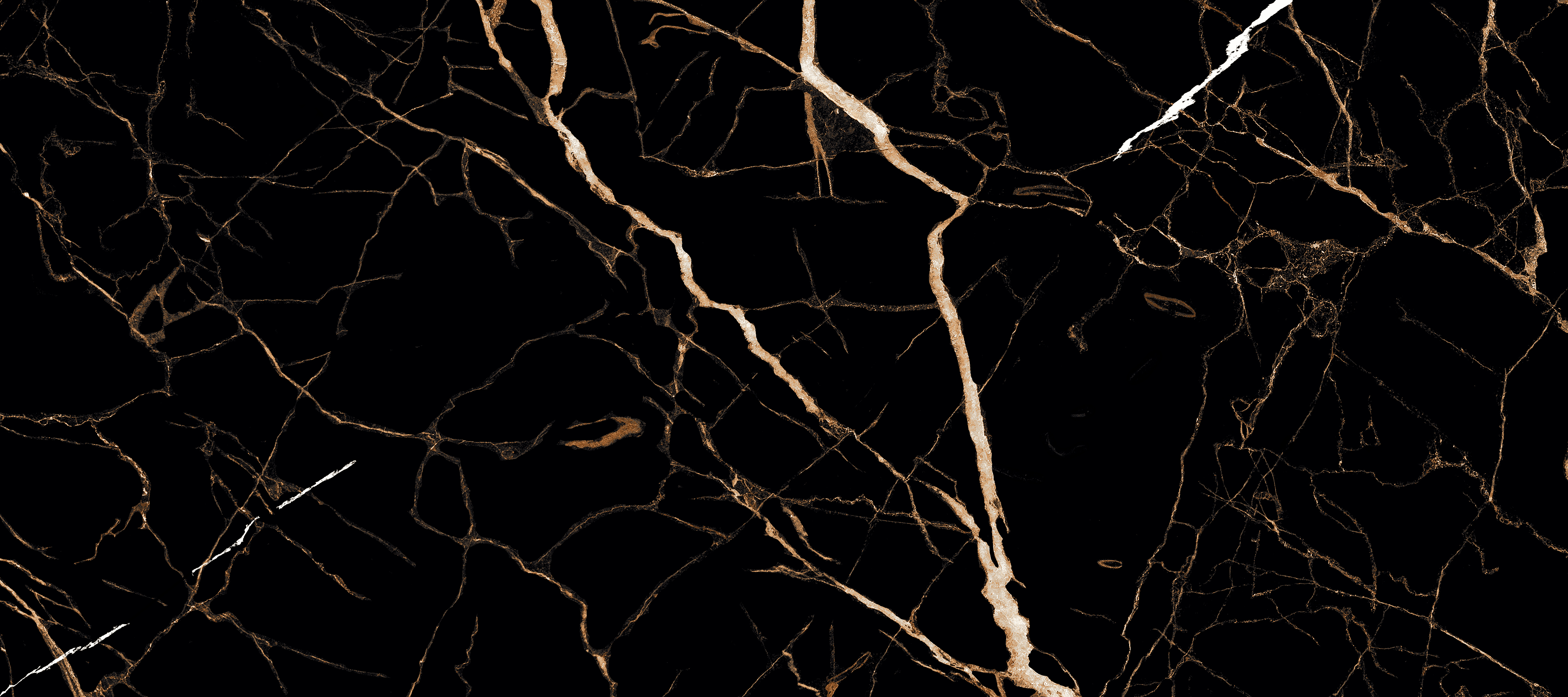 AdobeStock_566626553.gif