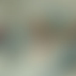 February 16, 1862 - General Grant captures Fort Donelson