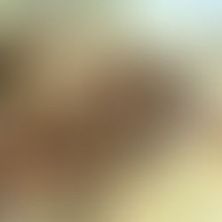 March 17, 1781 - The Carolinas Campaign of the American Revolution