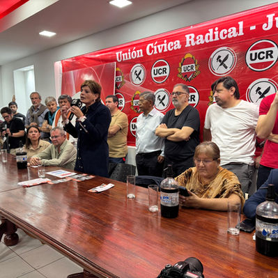 Plenario Radical