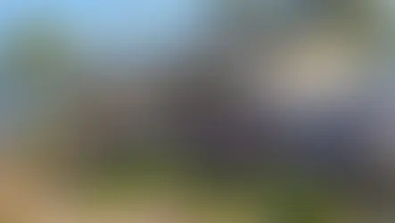 Paro y Conciliación