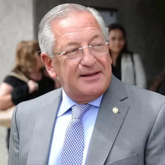 Fellner reaparece con la mira en el PJ