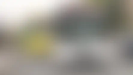 Quejas Colectivas