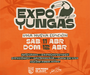 BANNER-EXPOYUNGAS-300x250.gif
