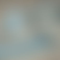 EXAR busca Ampliarse