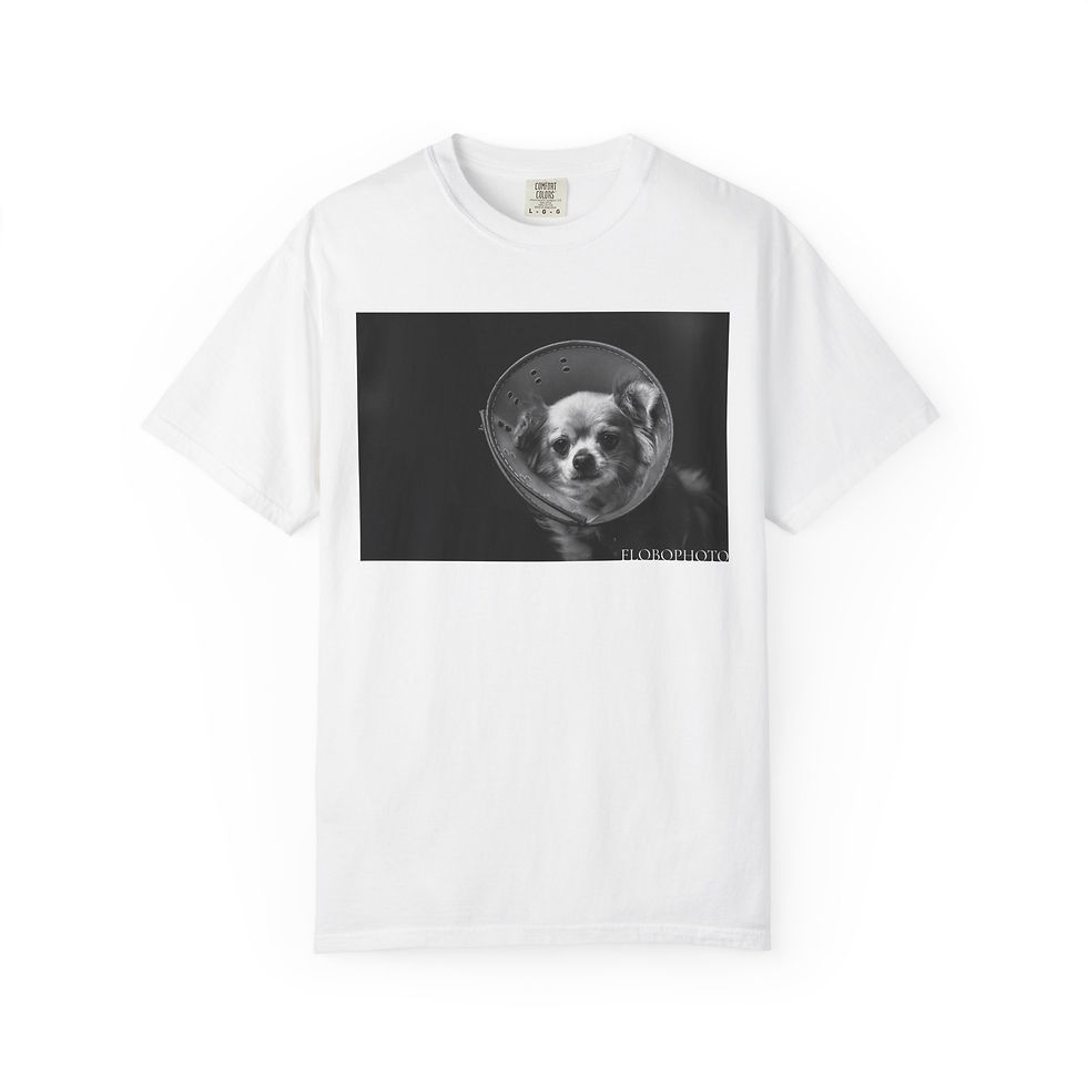 Thumbnail: Faded Bobo - Short Sleeve 1717 Heavyweight Cotton