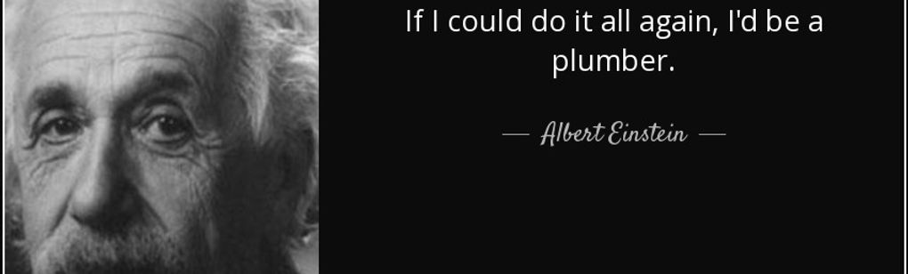 quote-if-i-could-do-it-all-again-i-d-be-a-plumber-albert-einstein-35-47-16.jpg