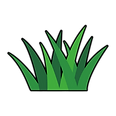 5.png