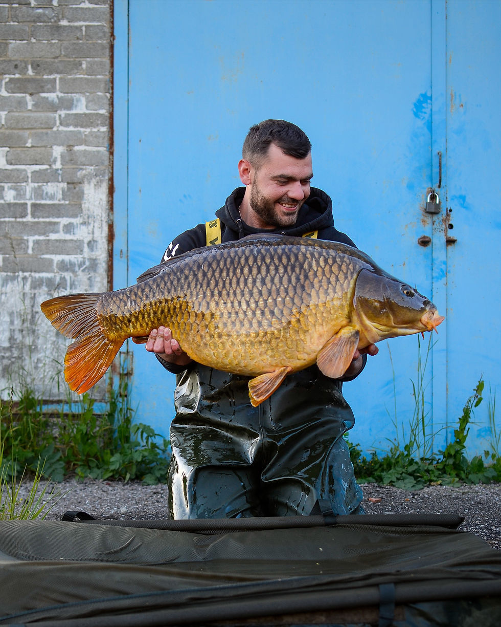 « Des poissons authentiques, sauvages et extrêmement combatifs. »
