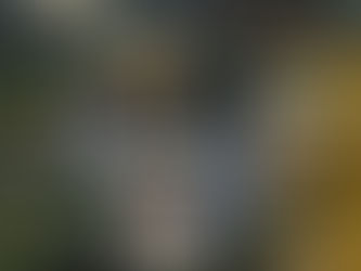 Affiche officielle du Trophée Gaulois 2026, enduro carpe organisé en Corrèze du 9 au 16 mai avec 16 équipes et plus de 140 heures de compétition.