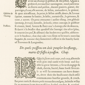 Bien avant l’essor de la pisciculture moderne, la carpe sauvage peuplait les rivières et les étangs naturels d’Europe. Cet article explore les origines de son élevage, les pratiques ancestrales des moines et seigneurs médiévaux, et l’évolution des techniques halieutiques au fil des siècles. Un voyage historique au cœur d’une époque où la pêche de la carpe relevait autant de la subsistance que du prestige.