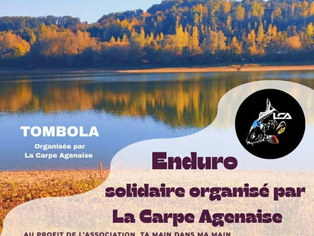Affiche de l’enduro carpe solidaire organisé au lac de Bajamont les 20, 21 et 22 février 2026. En arrière-plan, un lac calme entouré de collines boisées aux couleurs d’automne se reflétant dans l’eau. Le visuel annonce une tombola organisée par La Carpe Agenaise et précise que l’événement est au profit de l’association “Ta Main Dans Ma Main”.