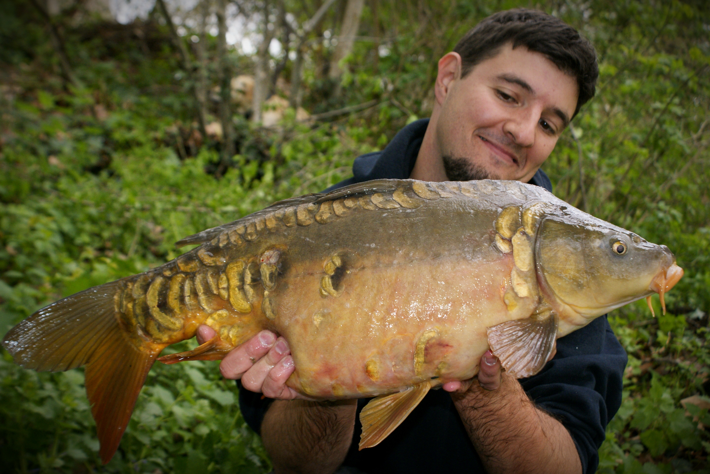 Photo du rédacteur: Jean François Malange