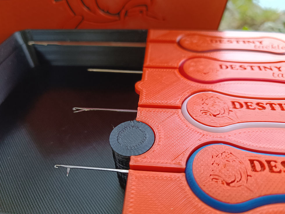 Coffret à aiguilles aimantées Destiny Tackle